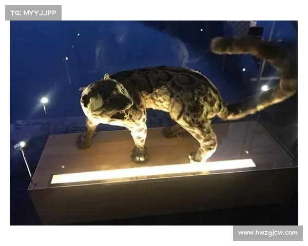 冰虎宝宝生存之道揭秘 揭开它们独特适应性和生存技巧的奥秘