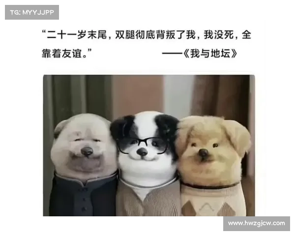 《猫鼠情深:为何它被视为友谊与和解的象征》 《猫鼠情深:为何它被视为友谊与和解的象征》